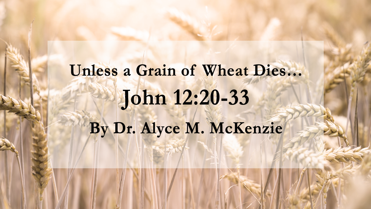 Unless a Grain of Wheat Dies - Reflections on John 12:20-33